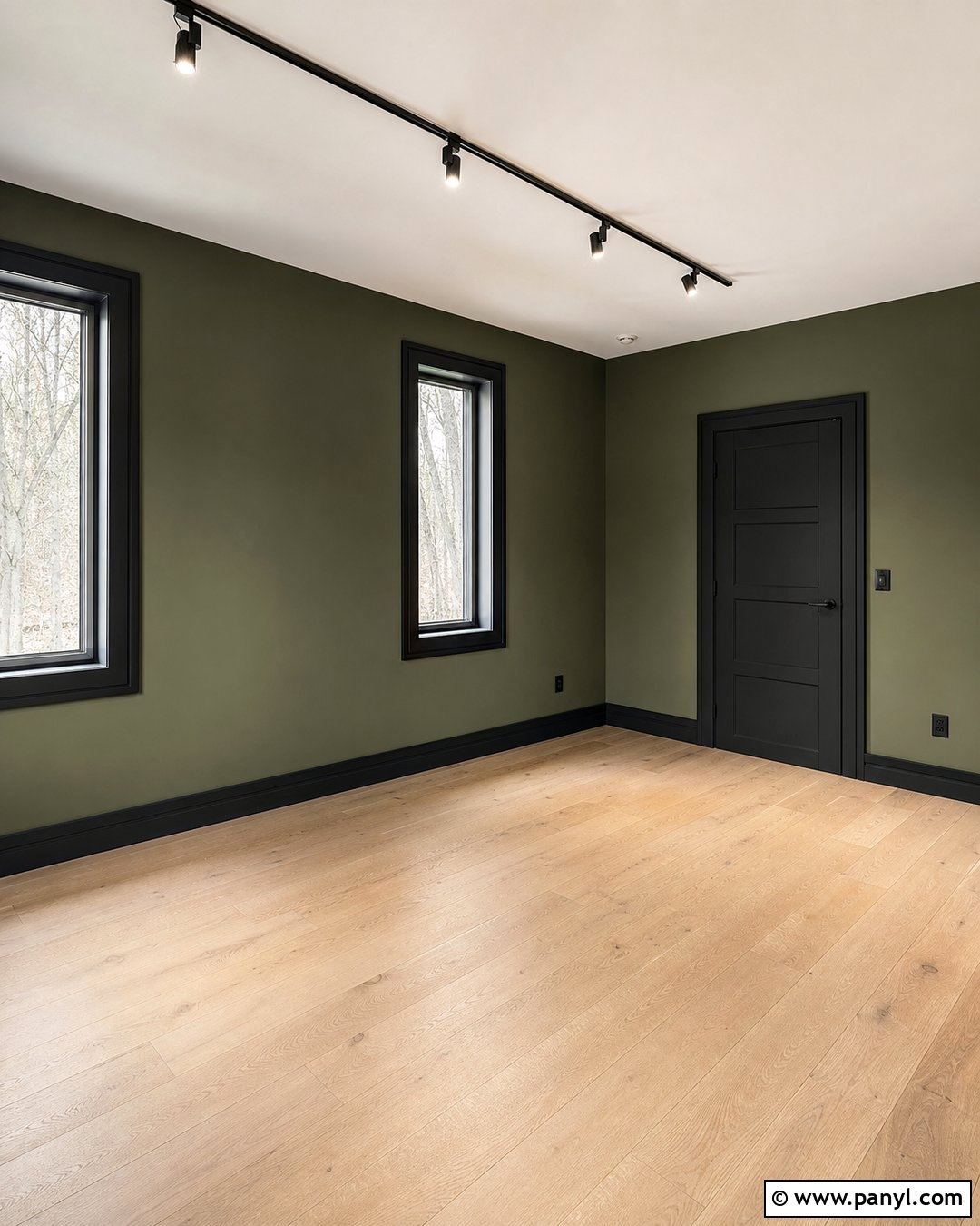 Army Green Walls With Black Trim - 20 Empty Room With Green Walls