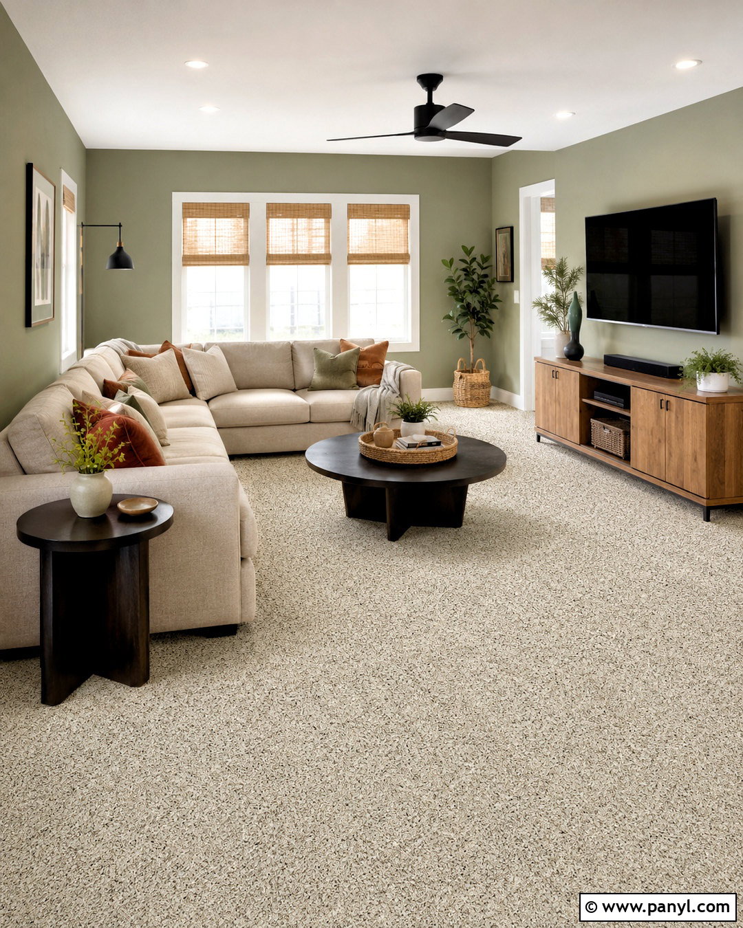 Berber Carpet With Sage Green Walls - 20 What Color Carpet Goes With Green Walls