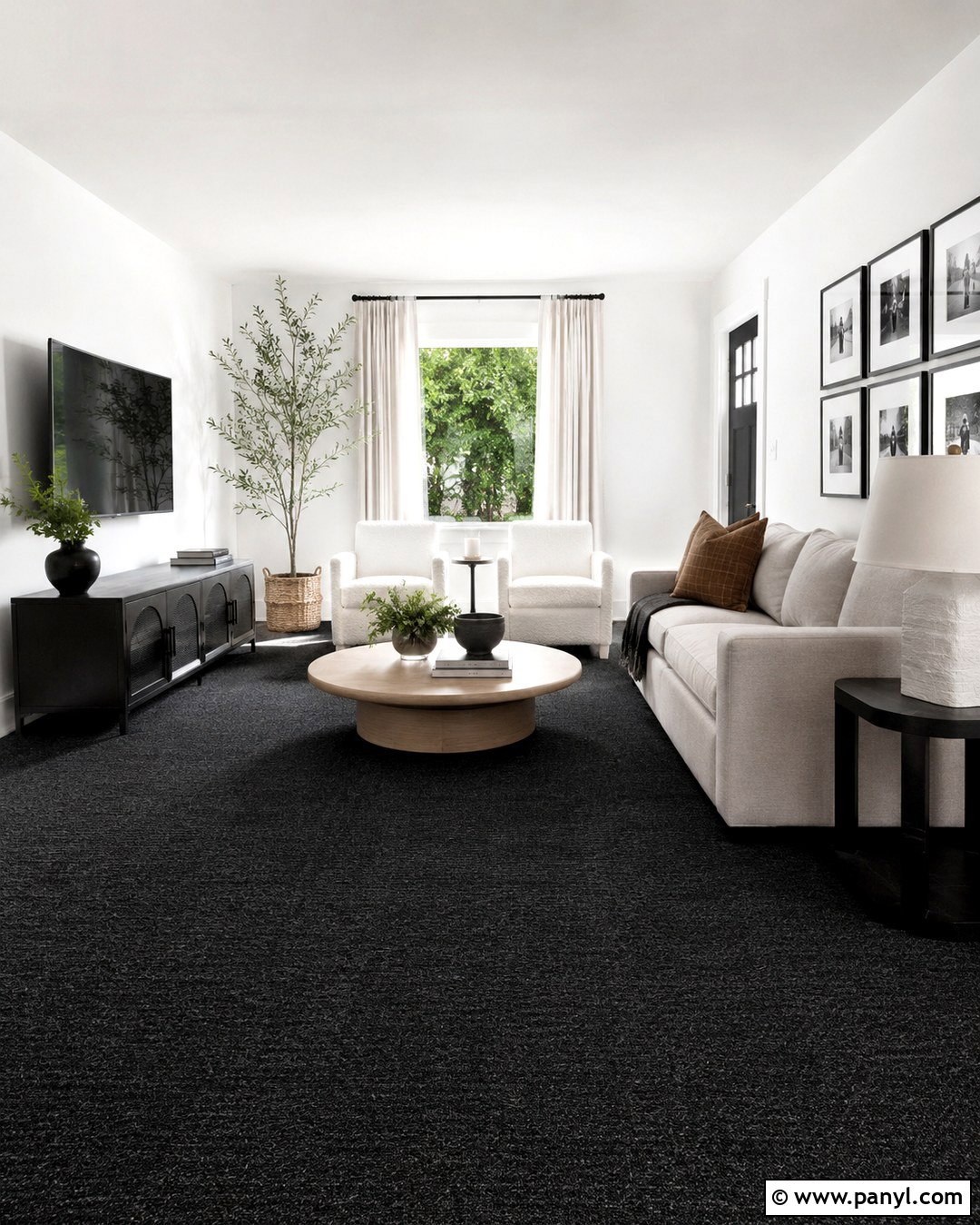 Black Carpet White Walls Living Room - 20 Black Carpet White Walls