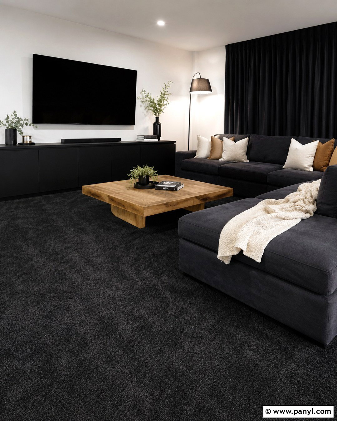 Black Carpet White Walls Media Room - 20 Black Carpet White Walls