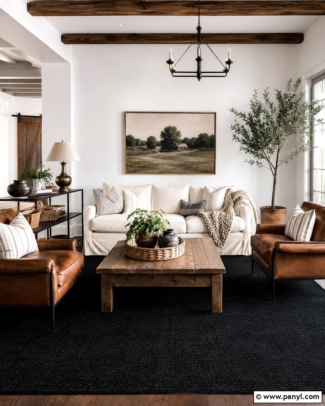 Black Carpet White Walls Modern Farmhouse Room - 20 Black Carpet White Walls