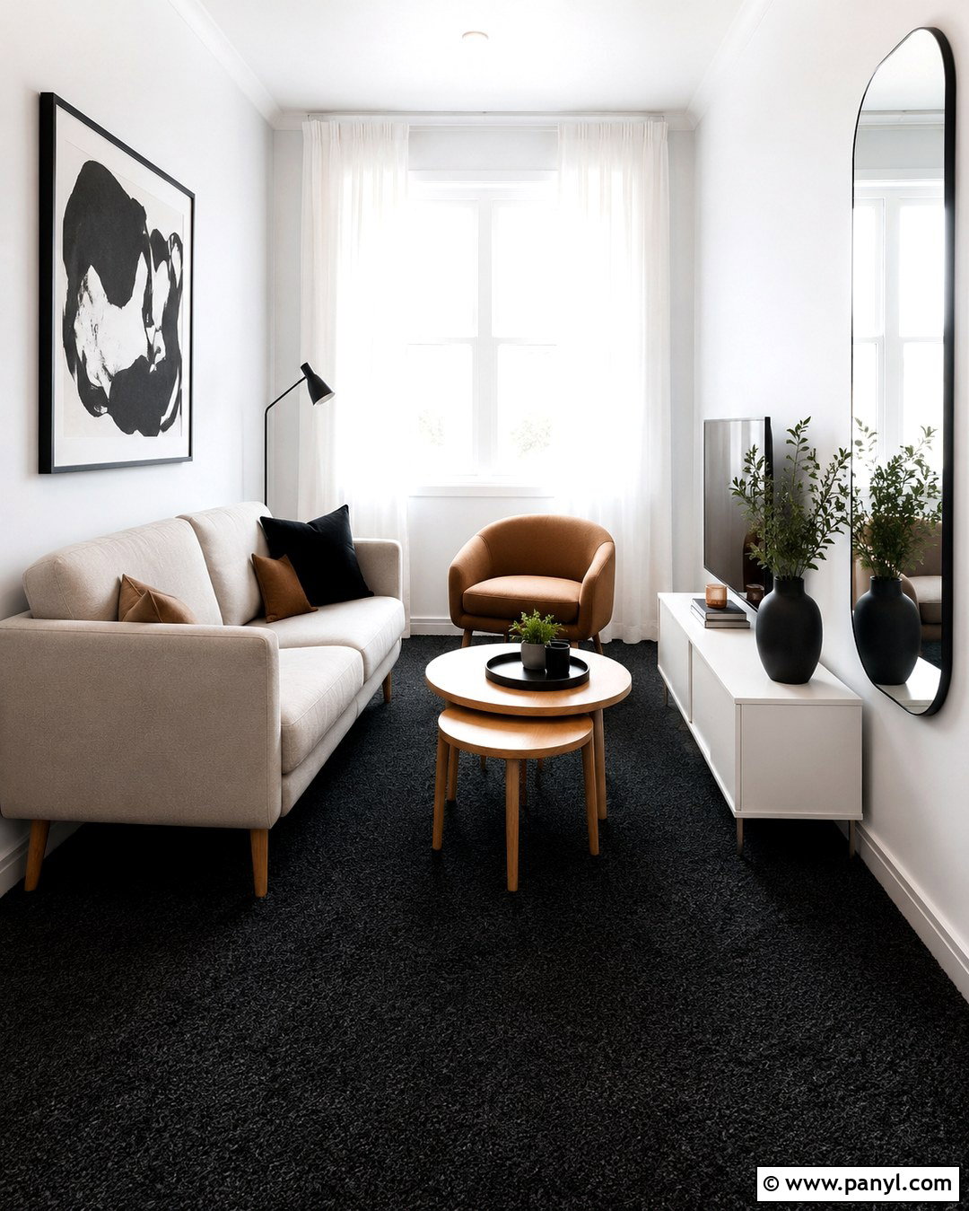 Black Carpet White Walls Small Living Room - 20 Black Carpet White Walls