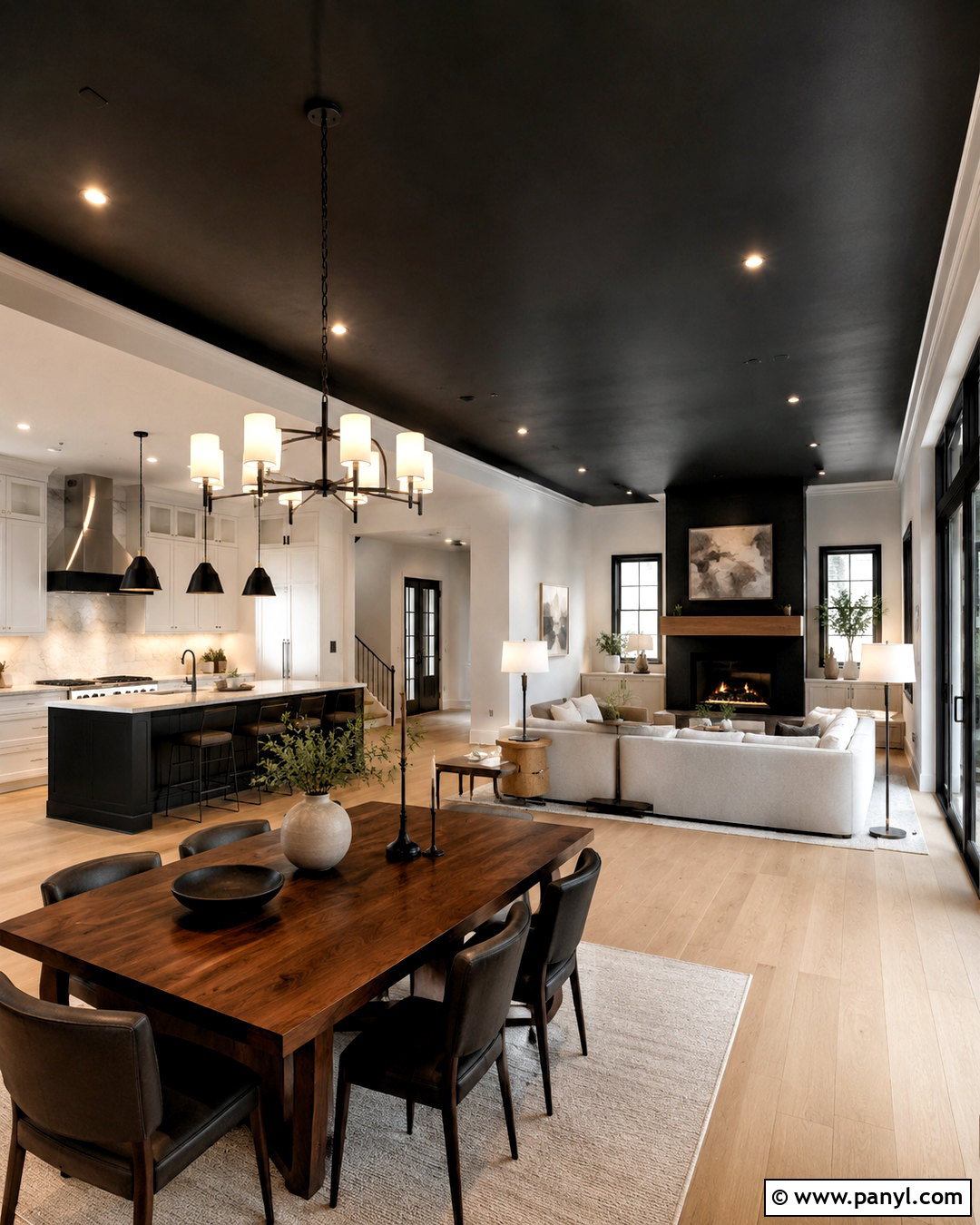Black Ceiling Open Floor Plan - 20 dark painted ceiling ideas