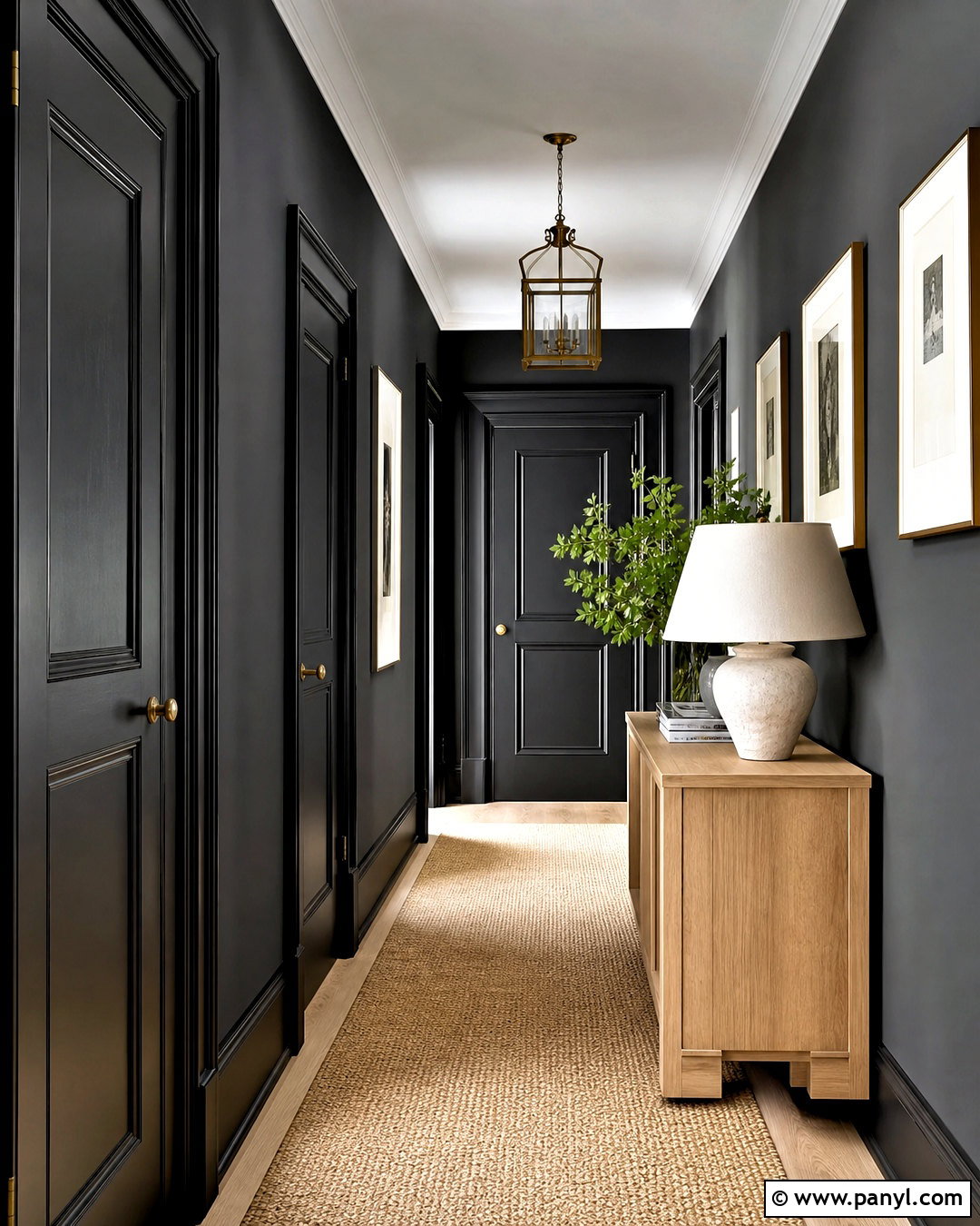 Black Color Drenched Hallway - 20 black interior doors with black trim ideas