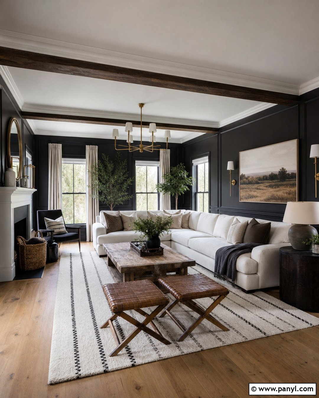 Black Farmhouse Wall With White Trim - 20 Black Wall With White Trim Ideas