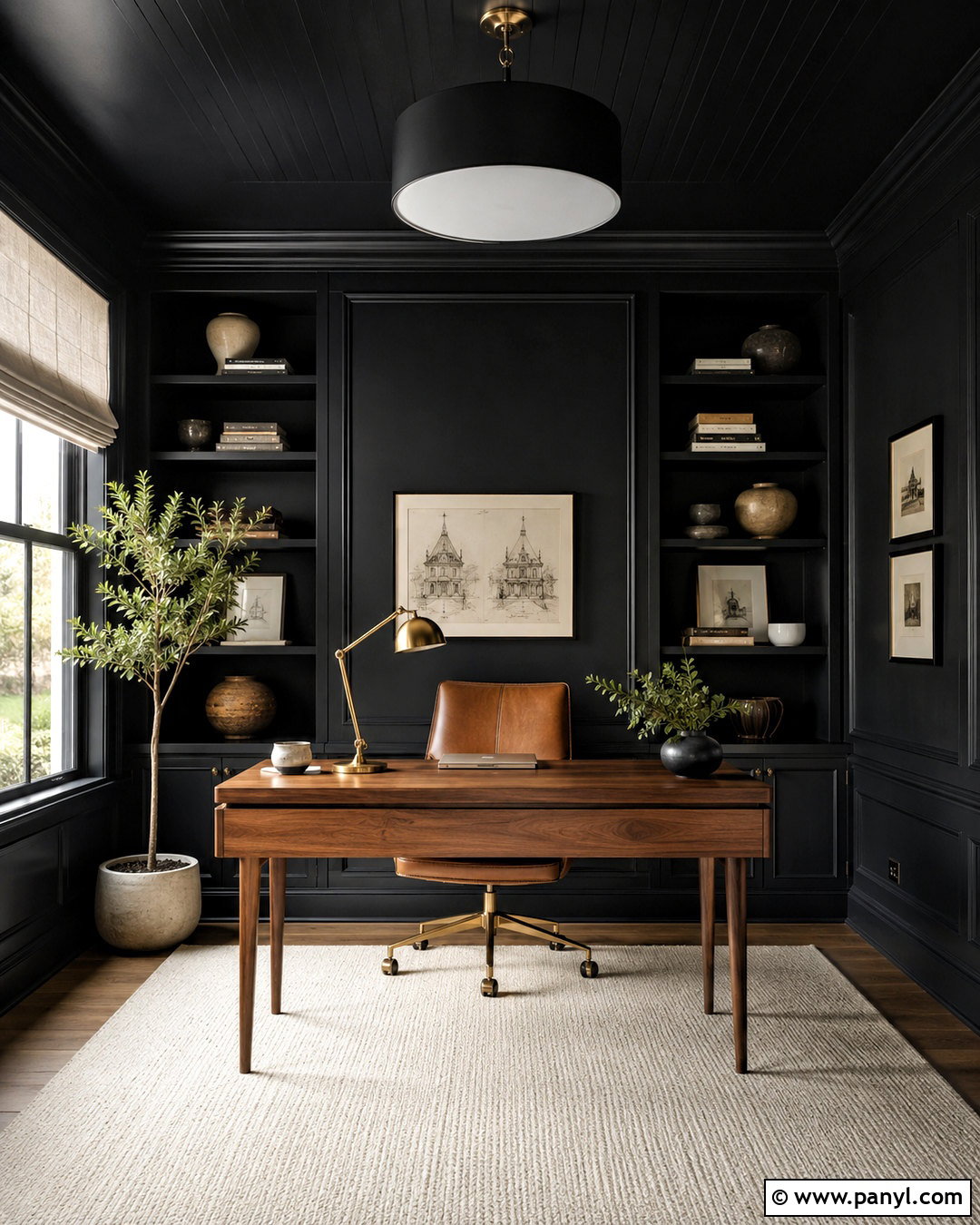 Black Home Office - 20 dark painted rooms