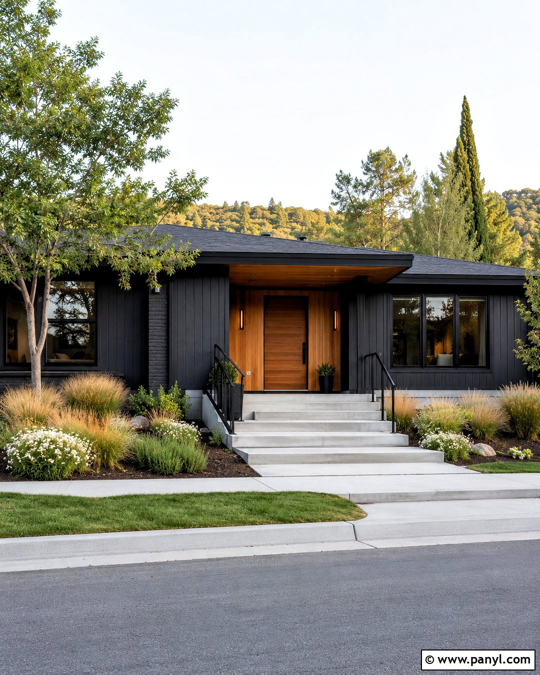 Black House Paint With Natural Wood - 20 house paint ideas