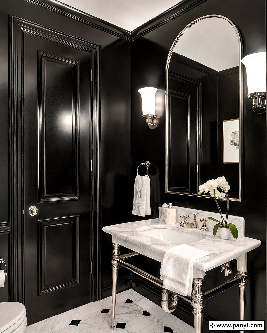 Black Lacquered Powder Room Walls - 20 lacquered walls