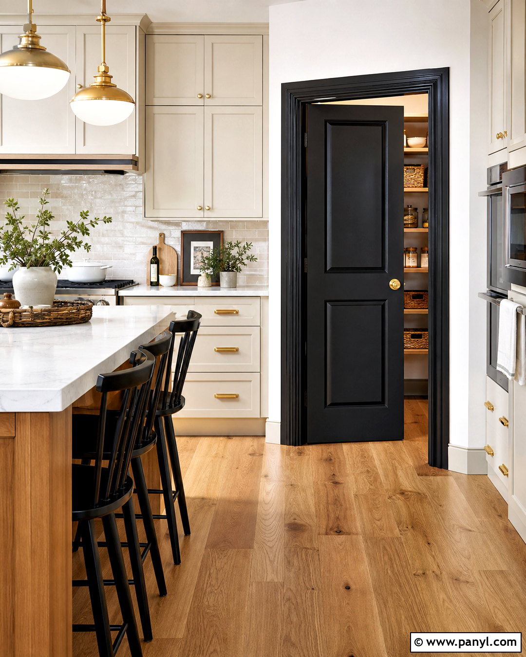 Black Pantry Door With Black Trim - 20 black interior doors with black trim ideas