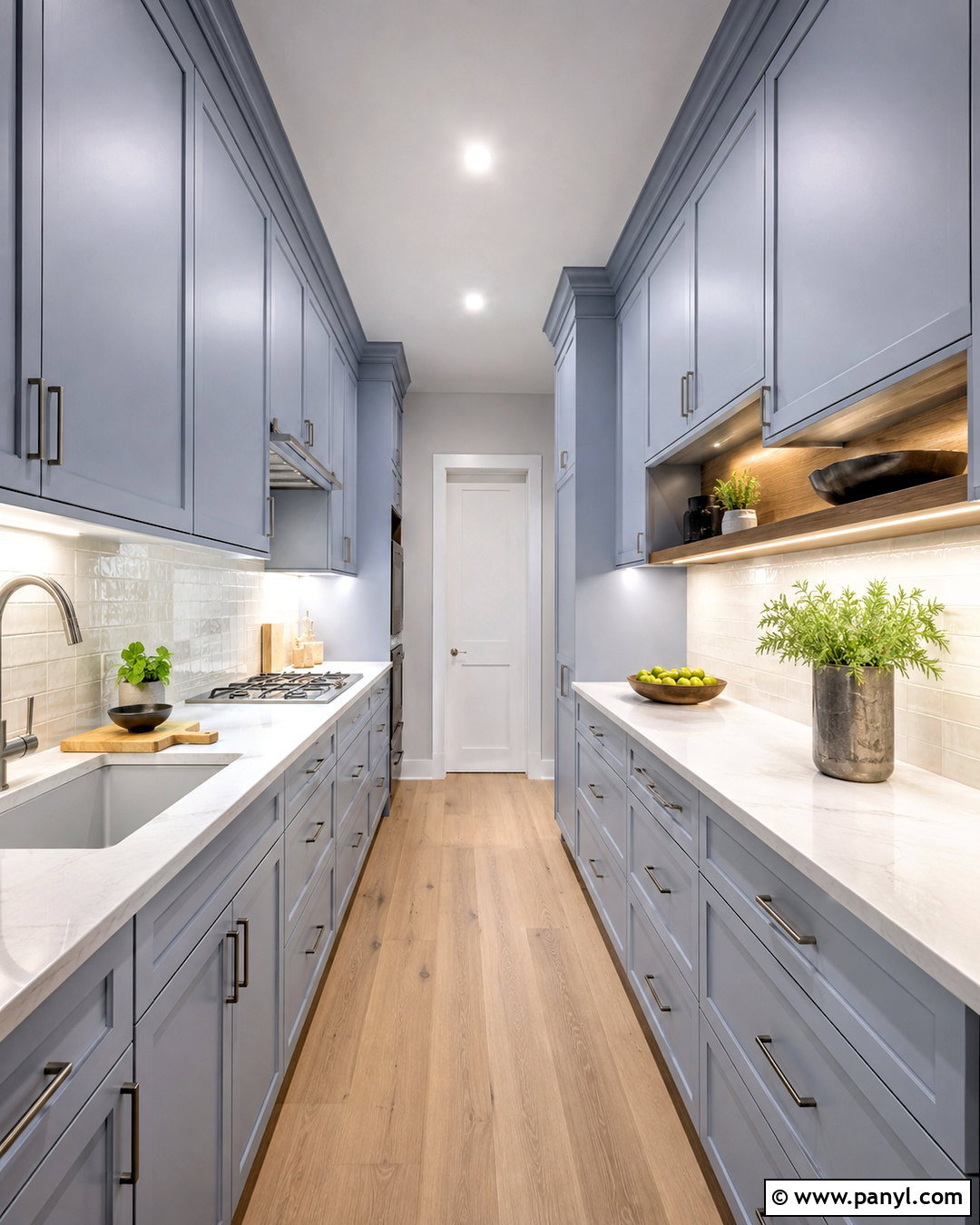 Blue Gray Kitchen Cabinets In A Galley Kitchen - 20 blue gray kitchen cabinets