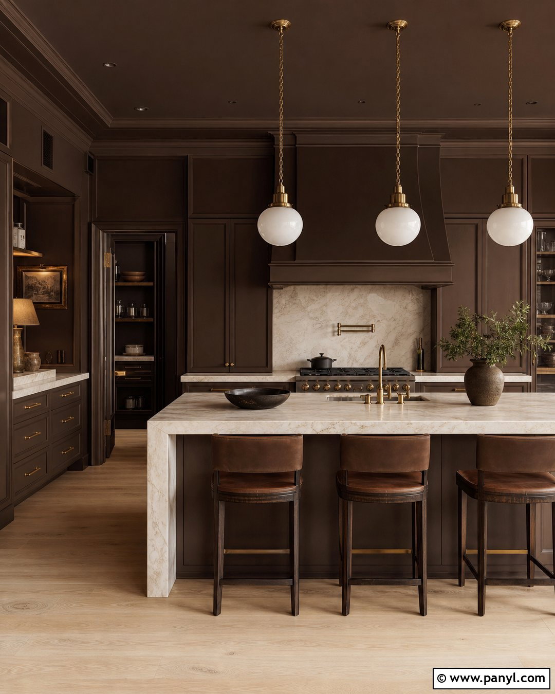 Brown Color Drenched Kitchen - 35 Brown Kitchen Walls