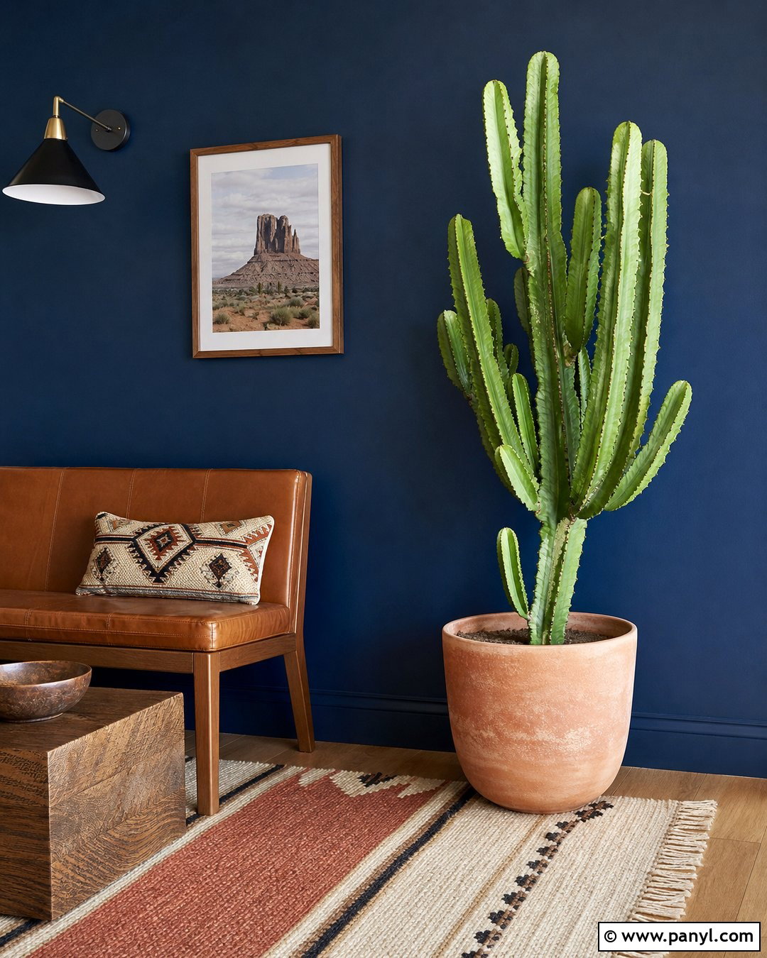 Cactus Against Royal Blue Wall - 20 Green Plant Against Blue Wall Ideas