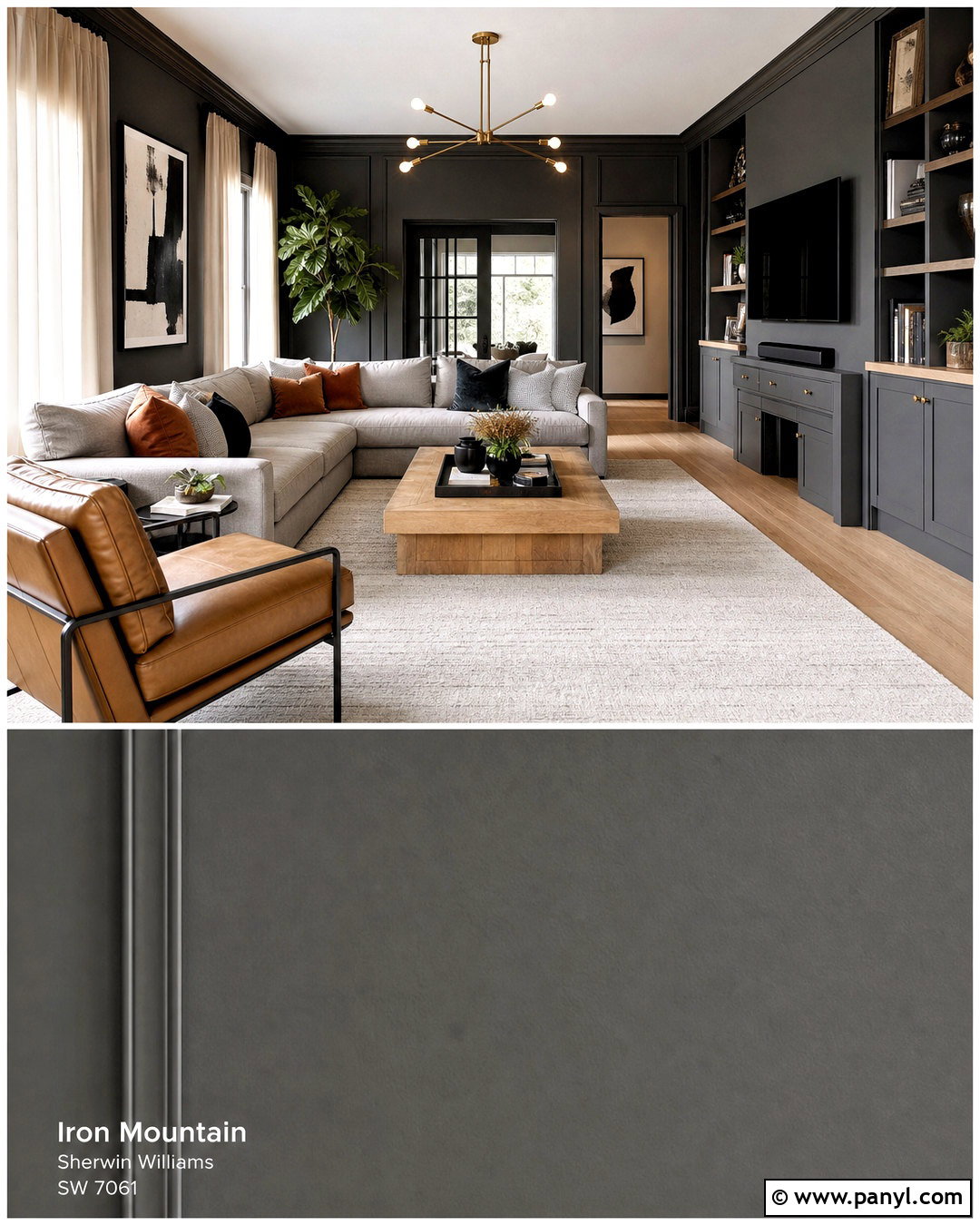 Charcoal Gray Living Room - 20 modern living room paint color ideas