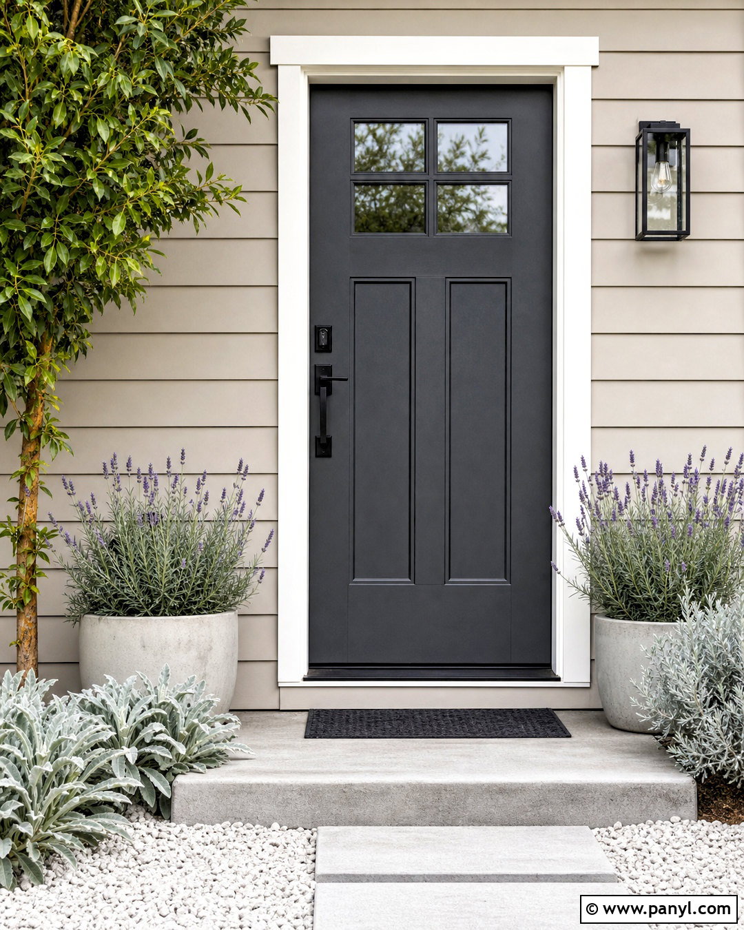 Charcoal Gray Wooden Door - 20 wooden door colour ideas