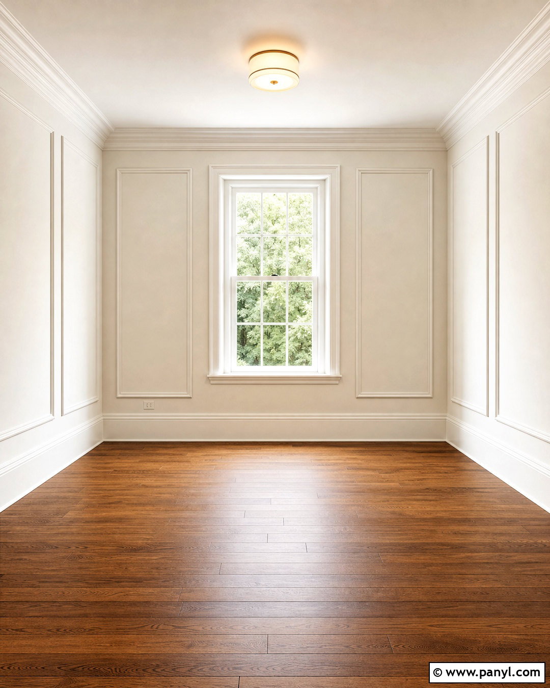 Classic Molding Empty Room Background - 20 empty room background ideas