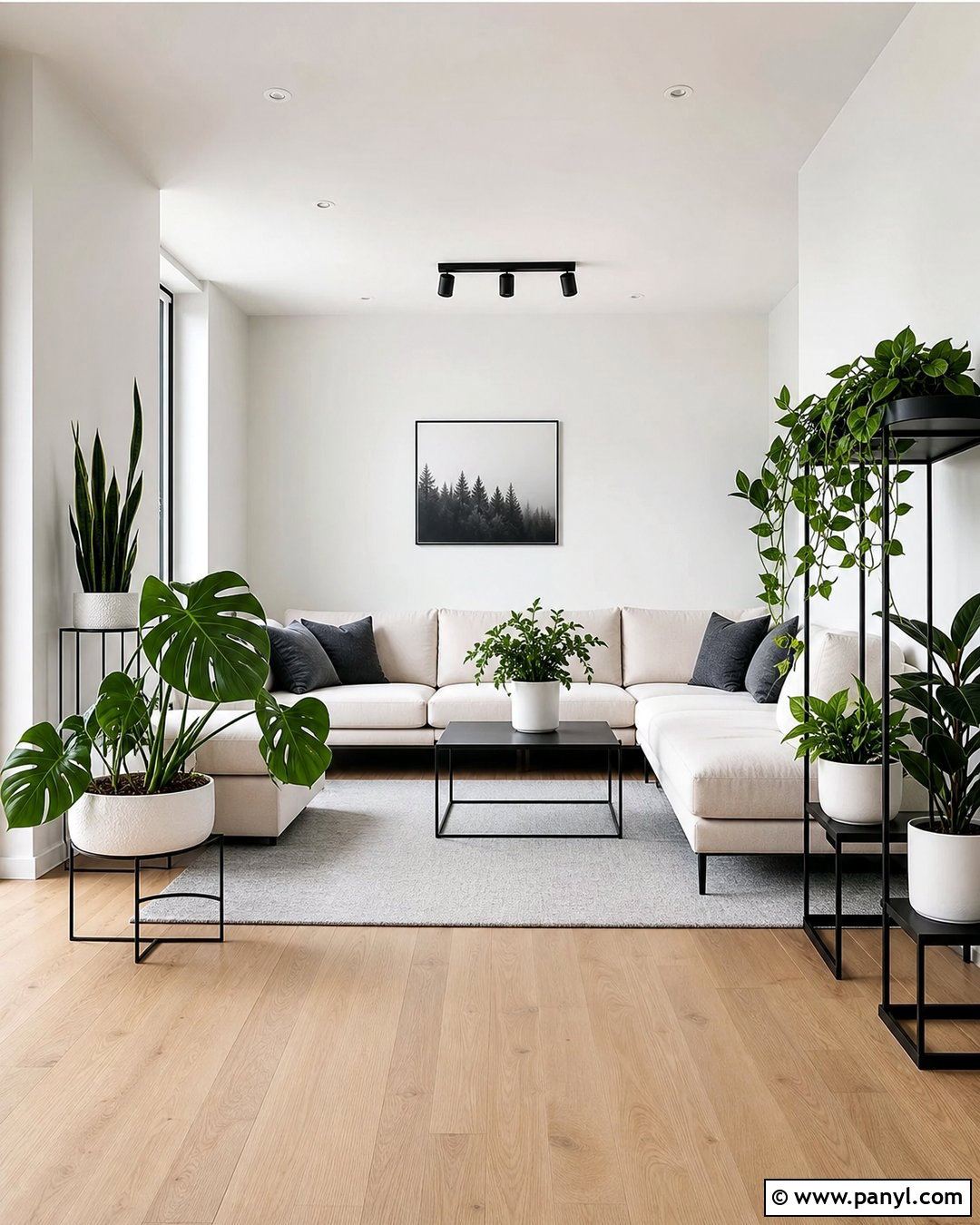 Crisp White Wall Color For Plants - 20 Best Wall Color For Plants