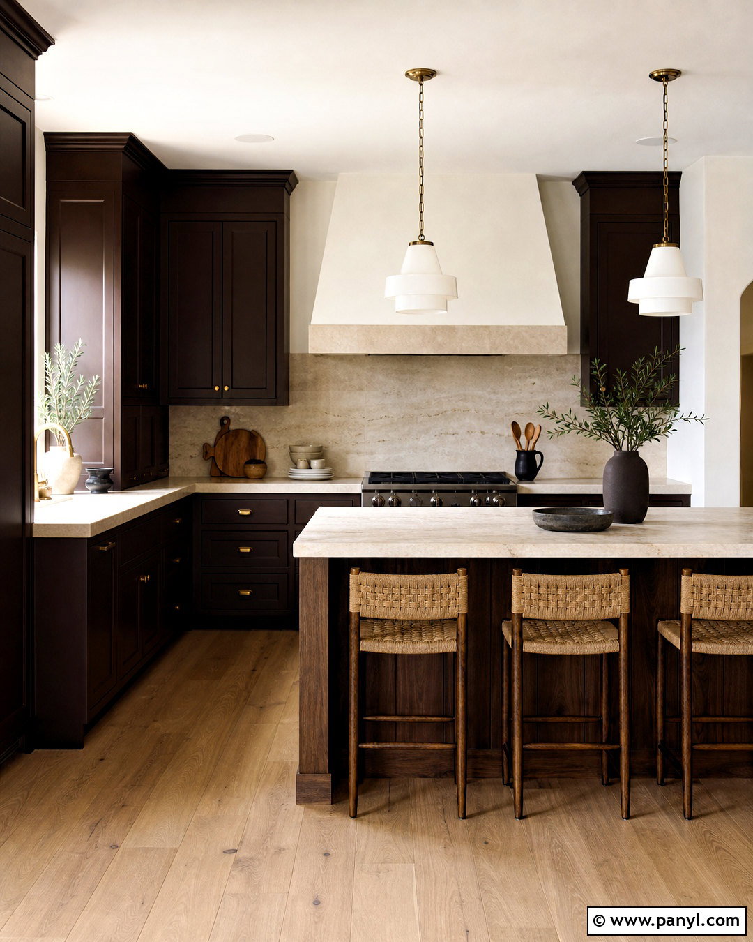 Dark Brown Painted Kitchen - 20 dark brown interior design ideas