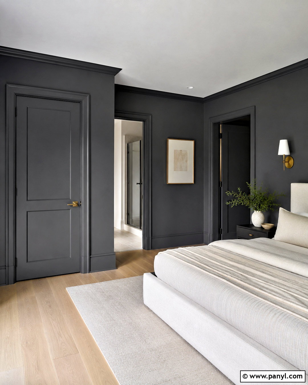 Dark Gray Interior Doors With Charcoal Walls - 20 dark gray doors interior ideas