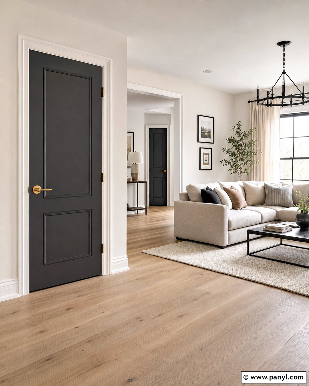 Dark Gray Interior Doors With White Walls - 20 dark gray doors interior ideas