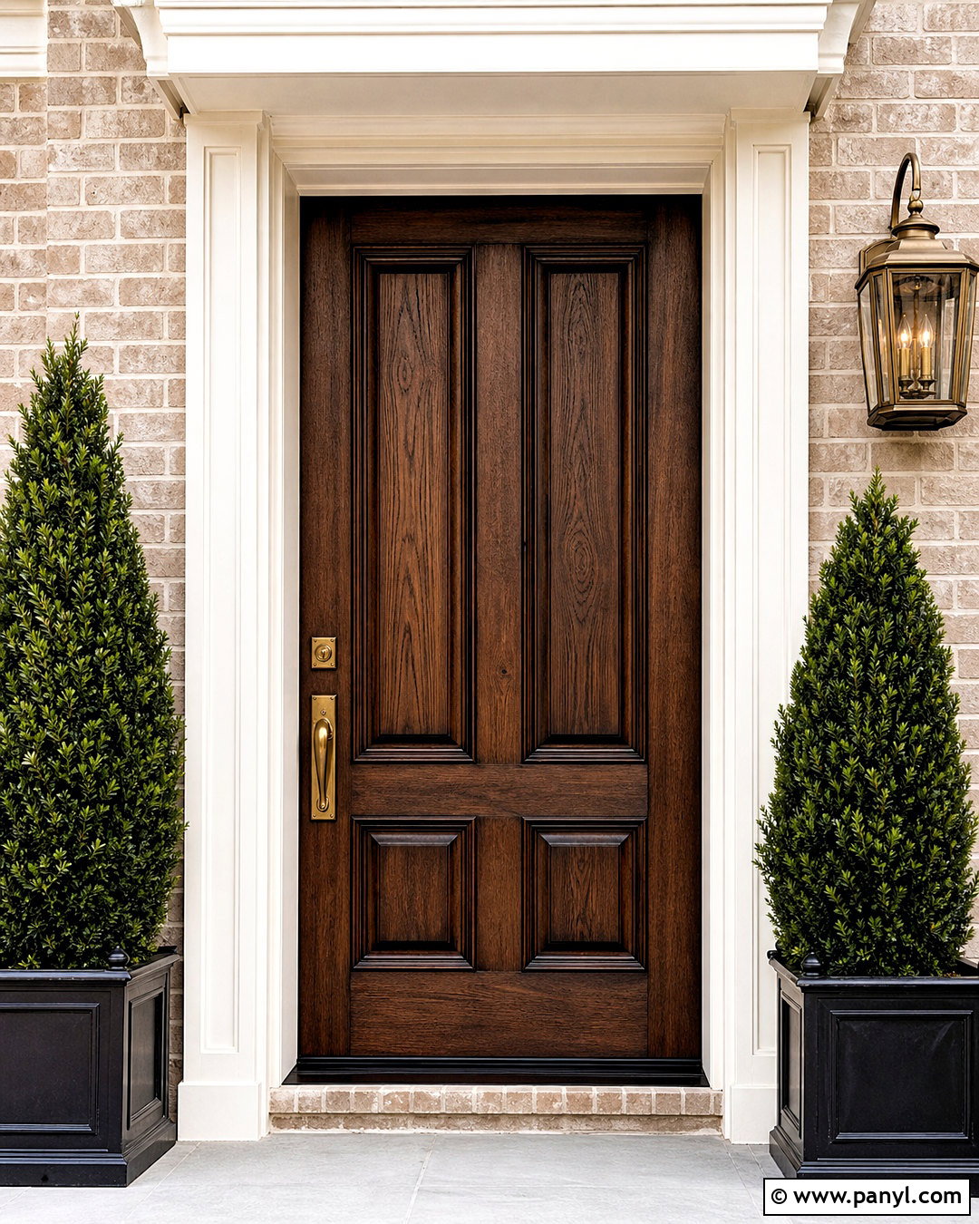 Dark Walnut Wooden Door - 20 wooden door colour ideas