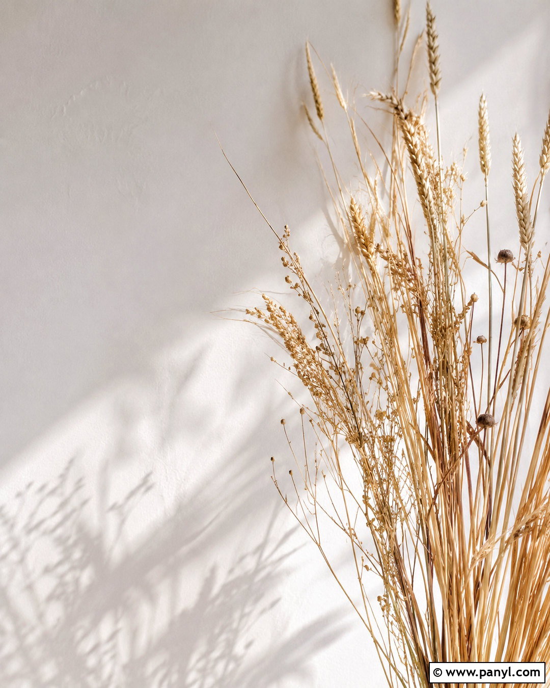20 Neutral Phone Wallpaper Ideas for a Calm, Chic Screen