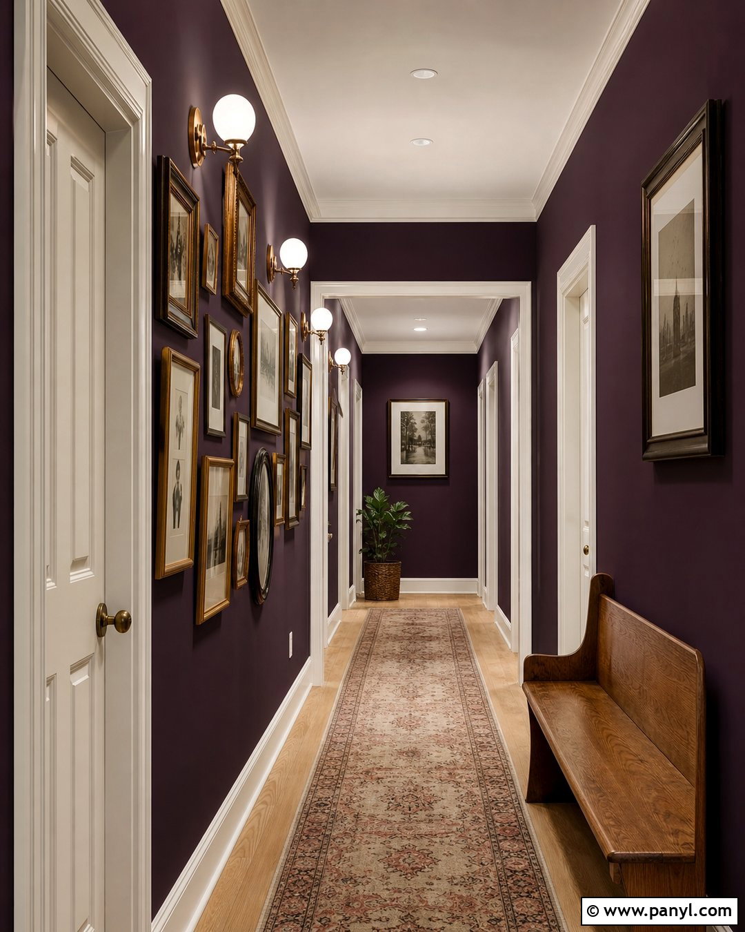 Eggplant Hallway Walls - 20 Eggplant Walls