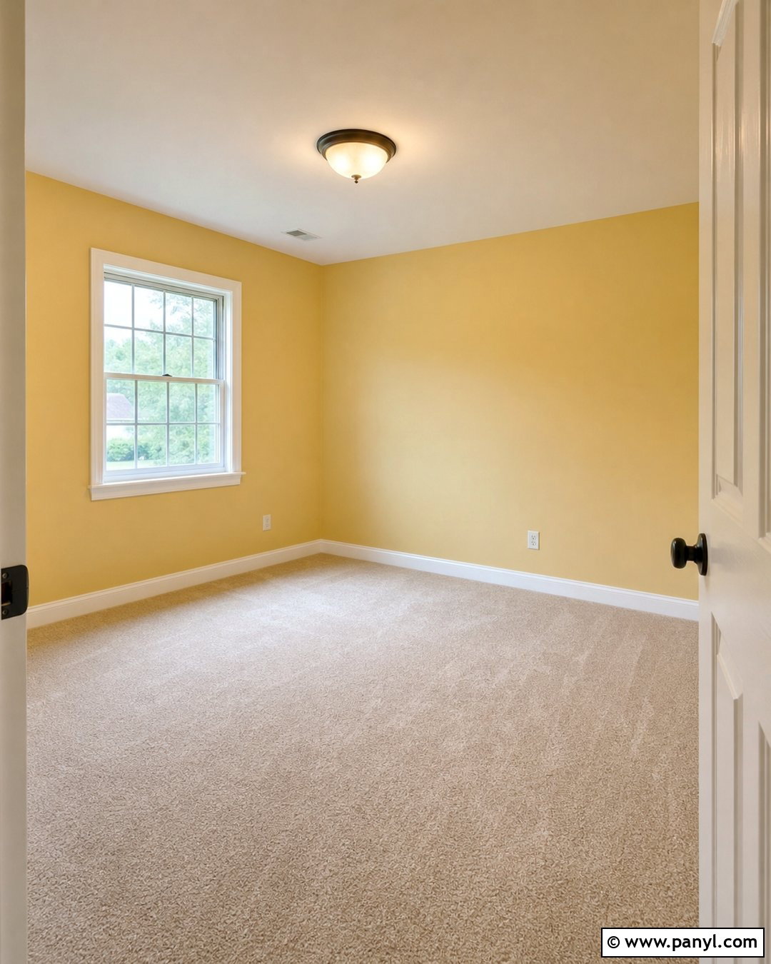 Empty Bedroom With Soft Yellow Walls - 20 Empty Room With Yellow Walls
