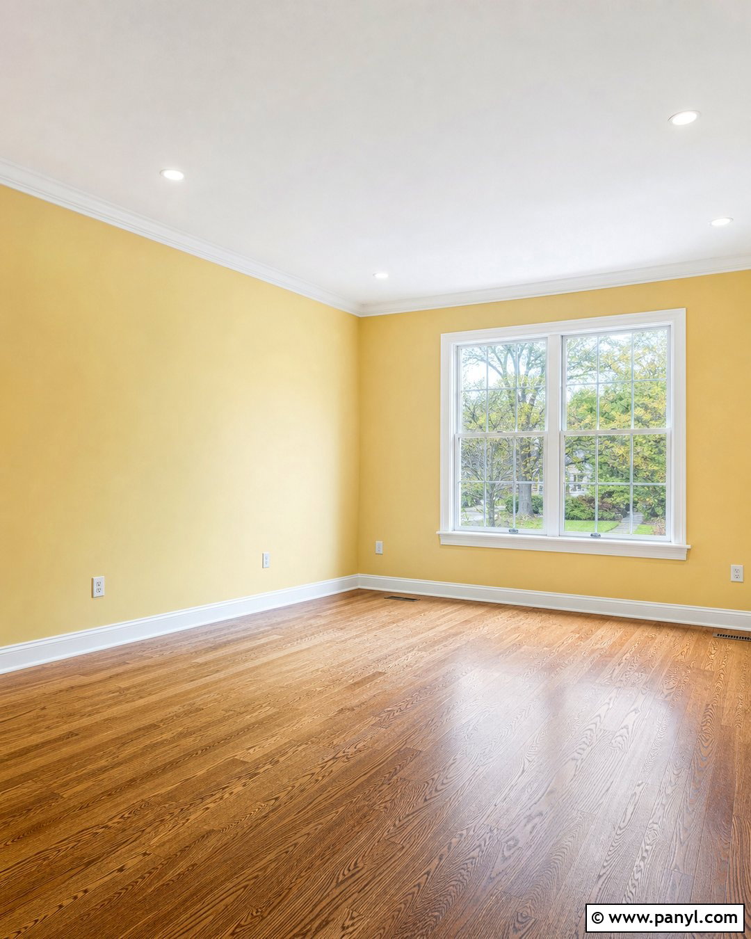 Empty Living Room With Butter Yellow Walls - 20 Empty Room With Yellow Walls