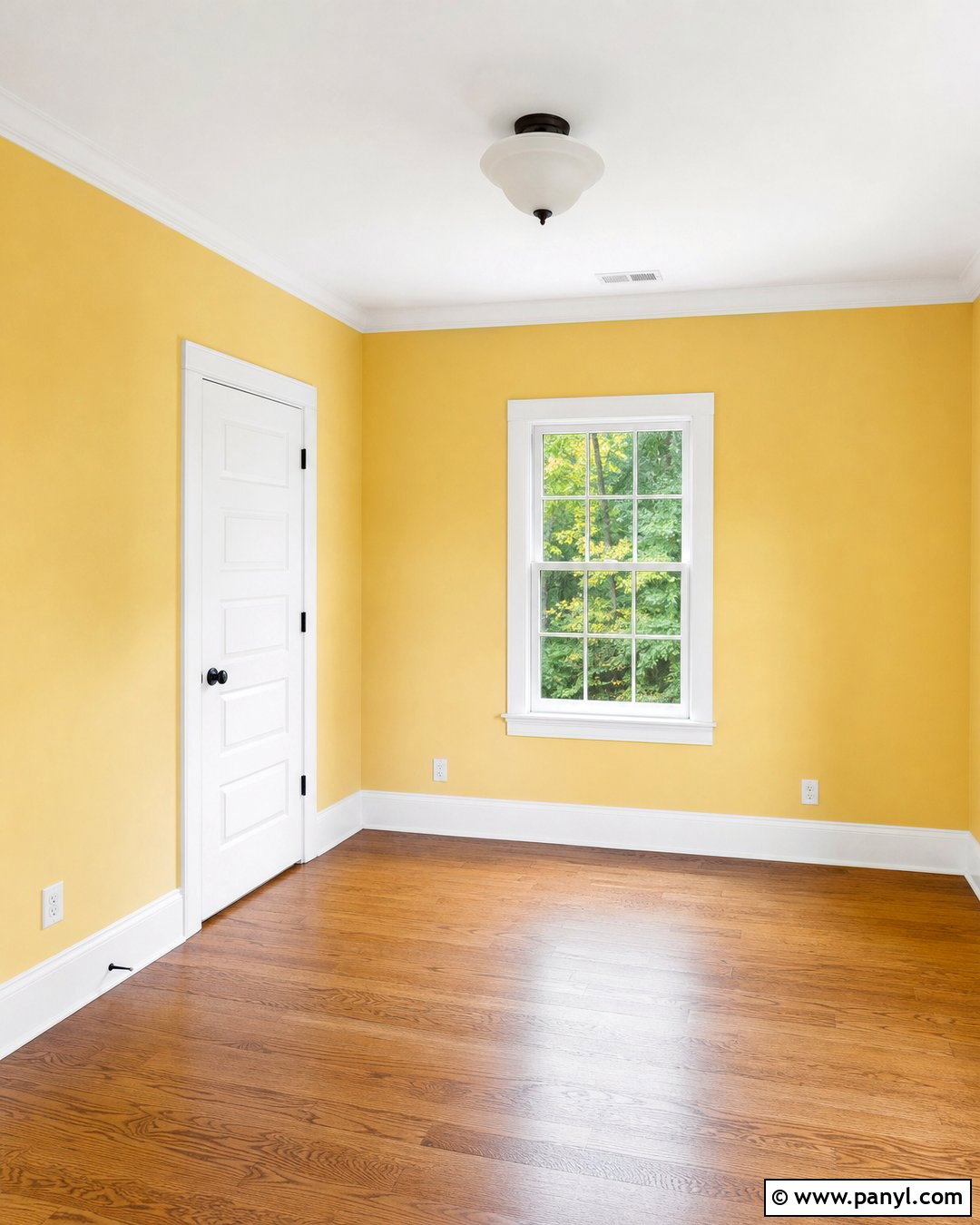 Empty Room With Yellow Walls And White Trim - 20 Empty Room With Yellow Walls