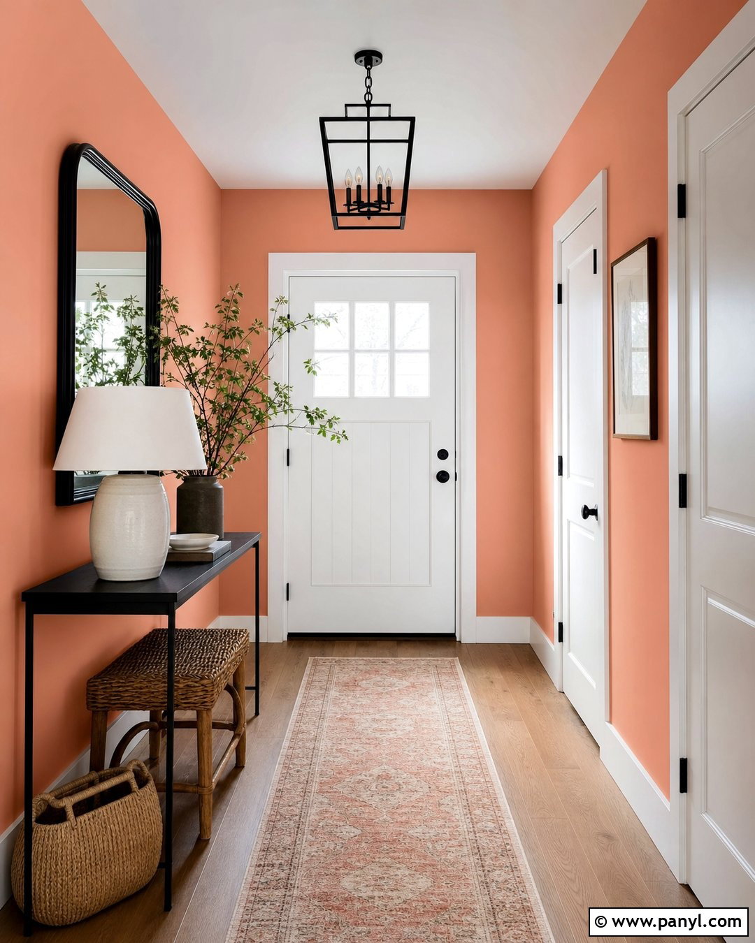 Faint Coral Entryway With Black Accents - 20 Sherwin Williams Faint Coral Walls