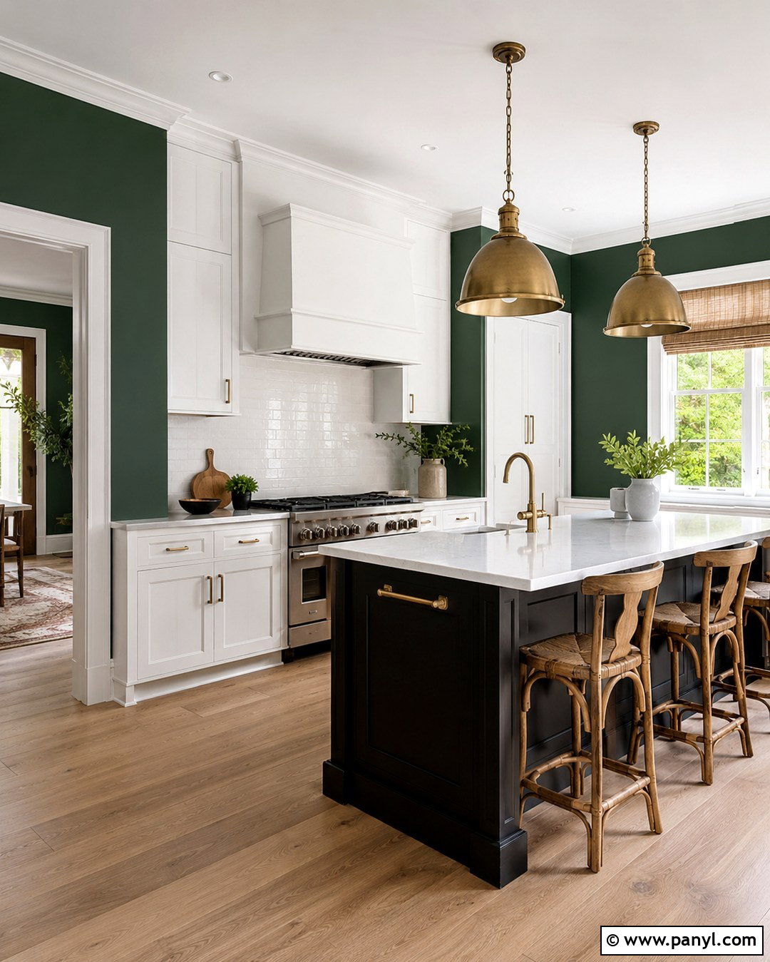 Forest Green Kitchen Walls - 20 Wall Color For Black And White Kitchen Ideas