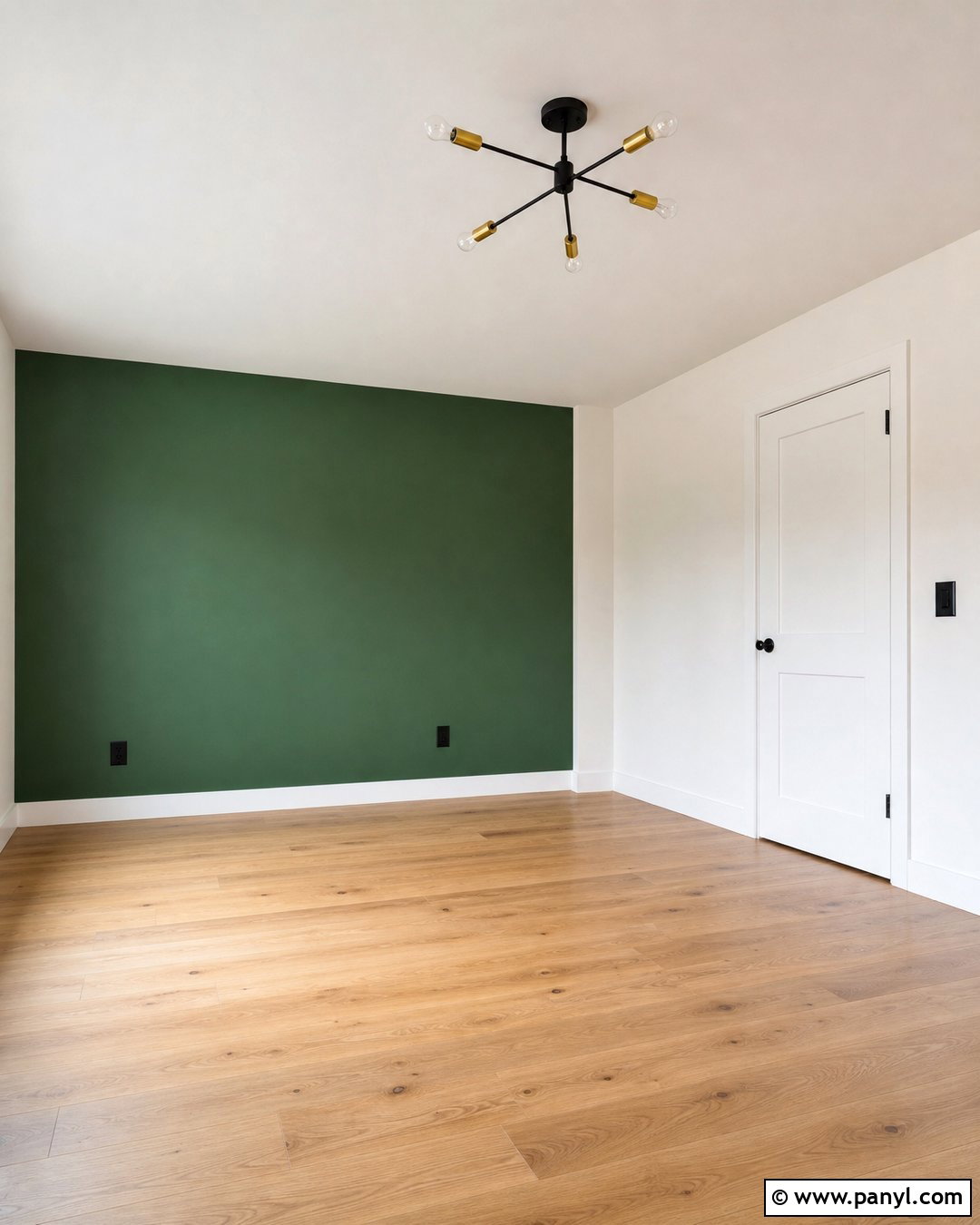 Green Accent Wall With Neutral Surrounding Walls - 20 Empty Room With Green Walls