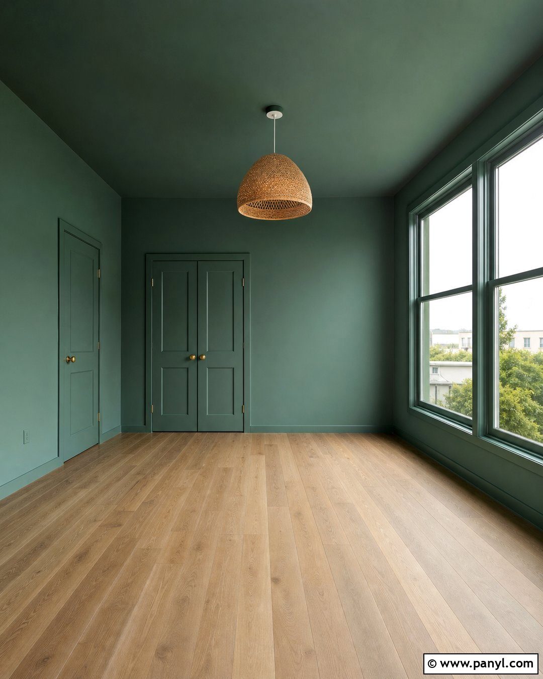 Green Walls With Matching Ceiling - 20 Empty Room With Green Walls