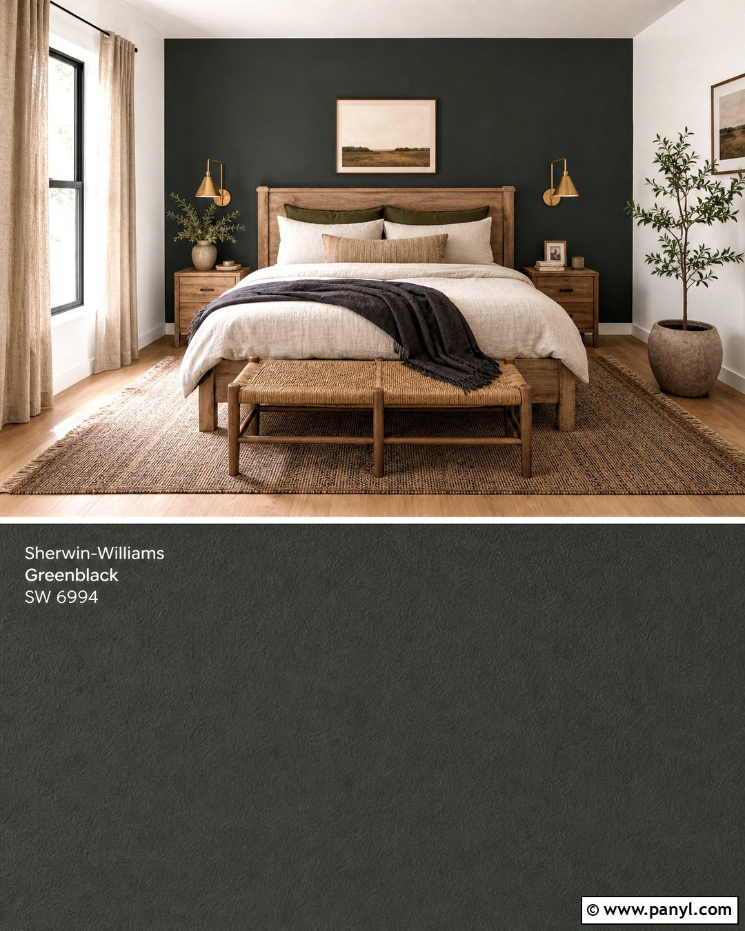 Greenblack Bedroom Accent Wall - 20 sherwin williams green black ideas