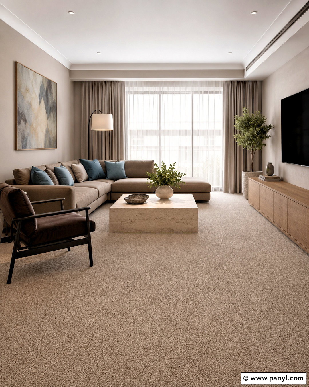 Greige Wall To Wall Carpet Living Room - 20 carpet ideas living room modern ideas