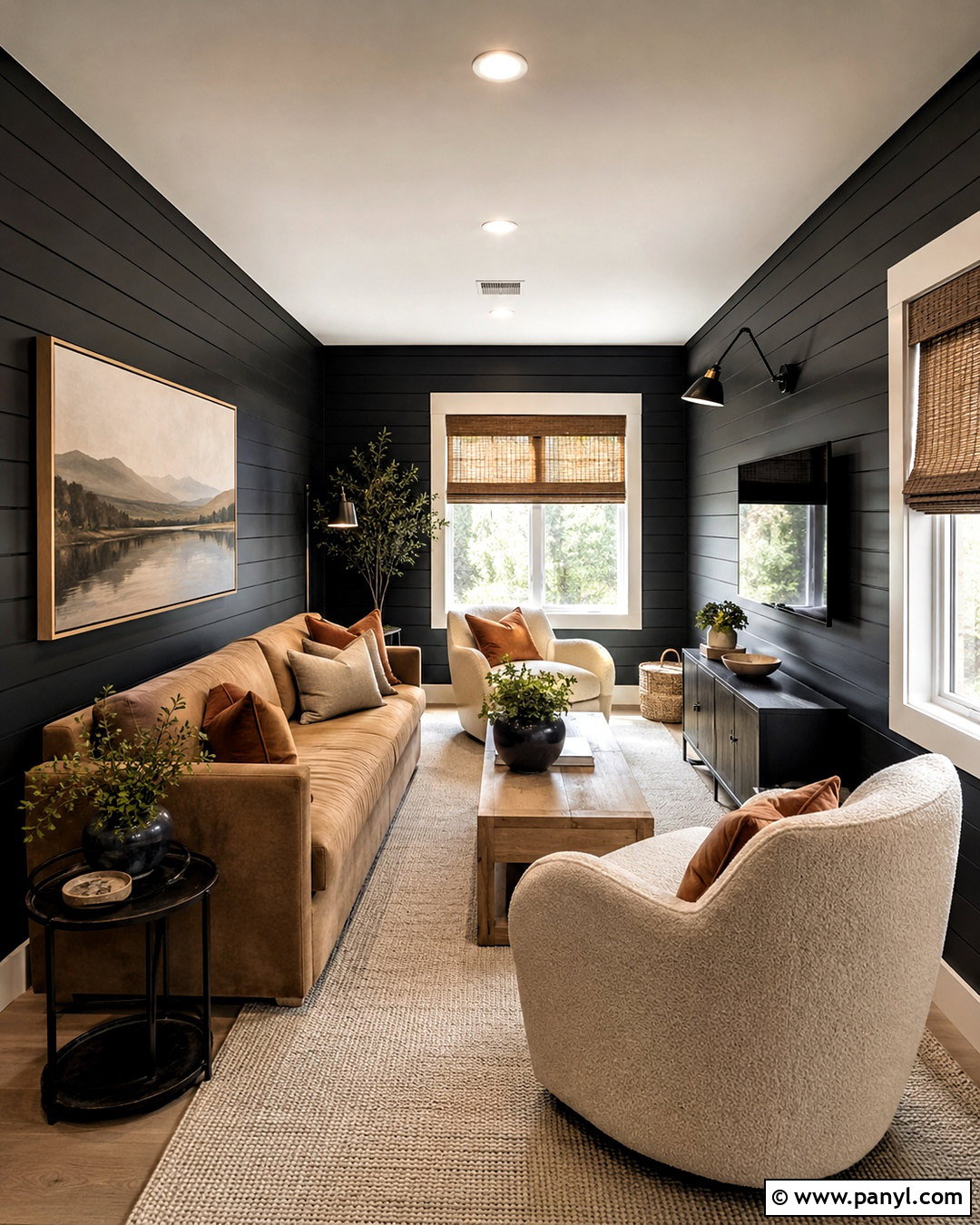Horizontal Black Shiplap Living Room - 20 black shiplap wall living room ideas