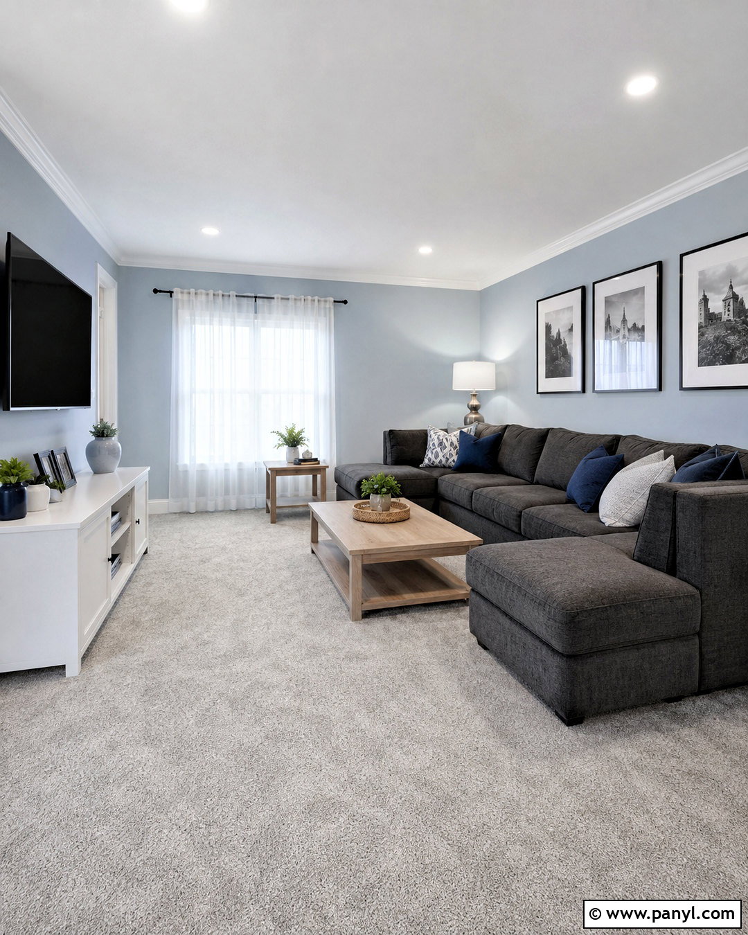 Light Gray Carpet With Light Blue Walls - 20 What Color Carpet Goes With Light Blue Walls