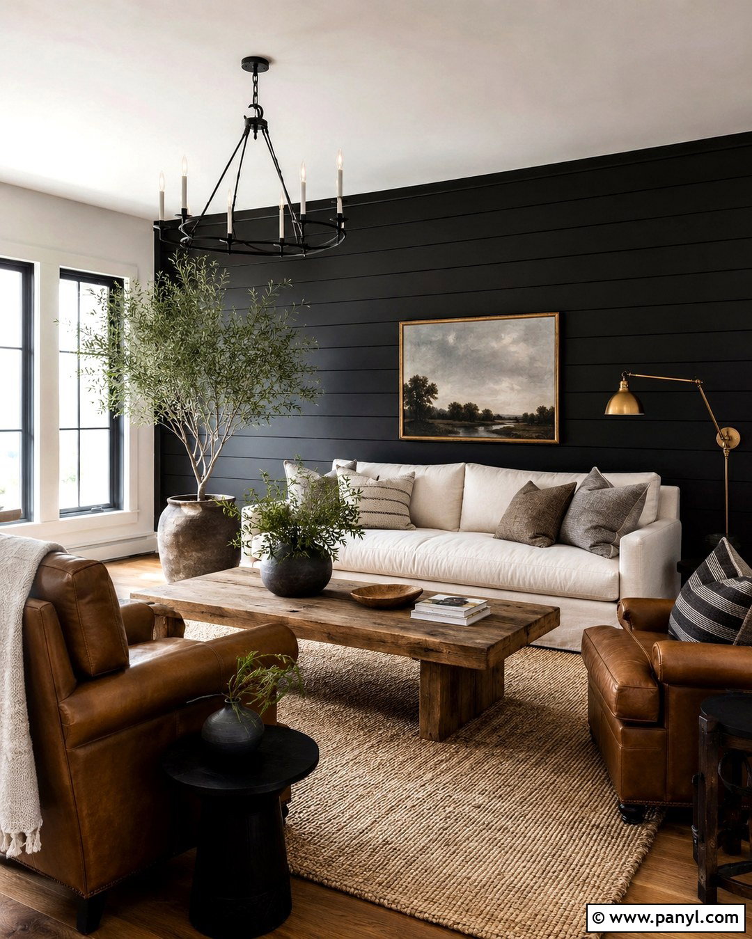 Matte Black Shiplap Wall - 20 Mat Black Wall Ideas