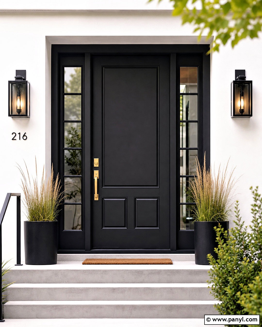 Matte Black Wooden Door - 20 wooden door colour ideas
