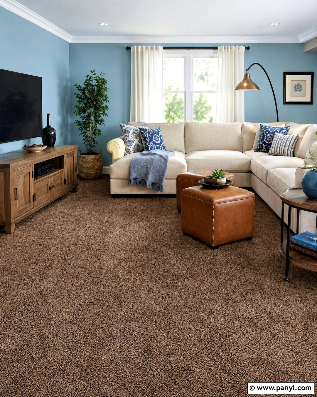 Medium Brown Carpet With Light Blue Walls - 20 What Color Carpet Goes With Light Blue Walls