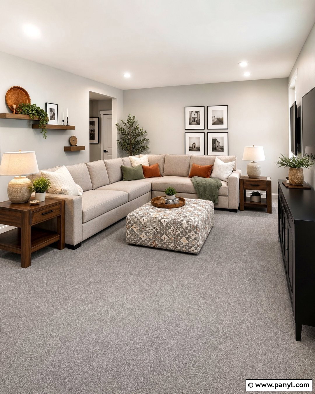 Medium Gray Carpet With Gray Walls - 30 Carpet Colors With Gray Walls