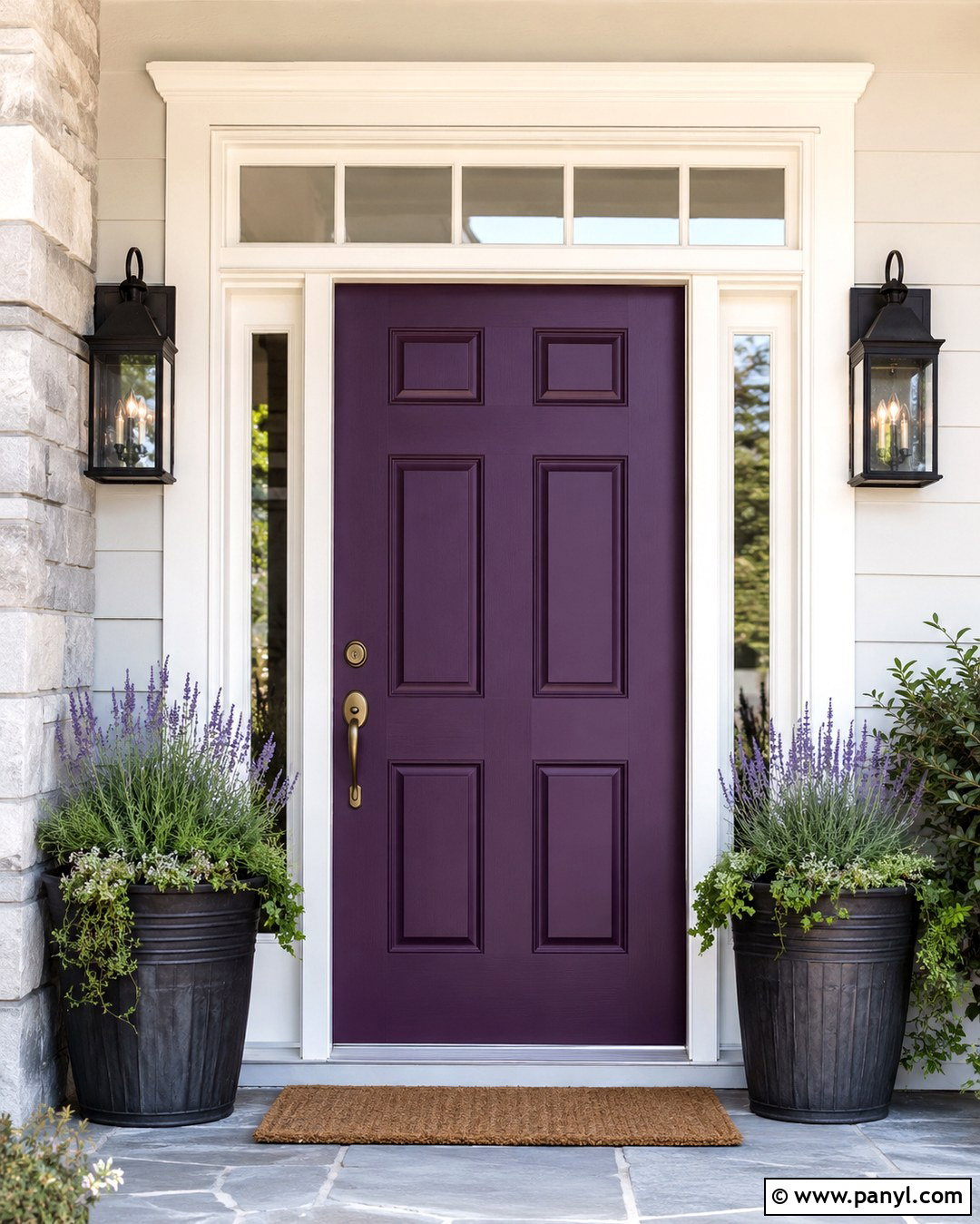 Midnight Orchid Front Door - 20 Midnight Orchid Color Ideas