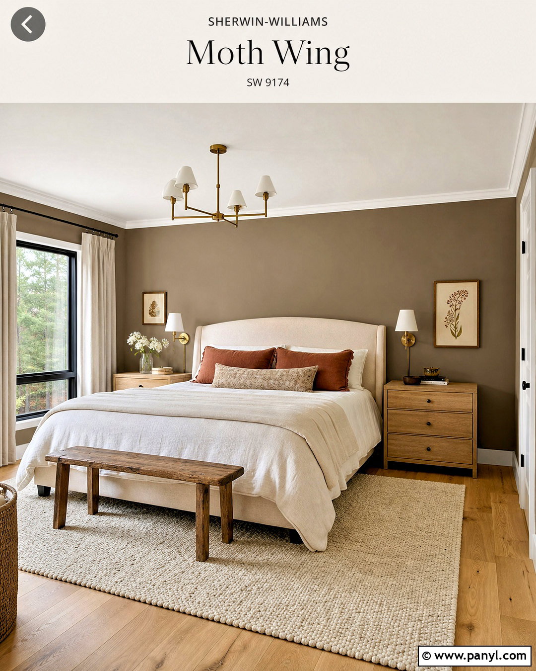 Moth Wing Bedroom - 20 sw moth wing ideas