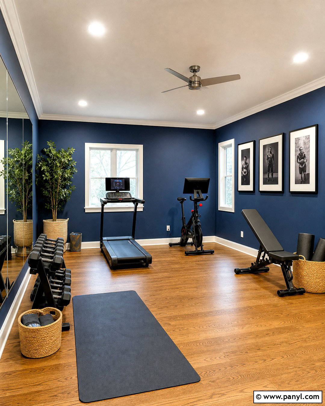 Navy Blue Home Gym - 20 gym colors ideas