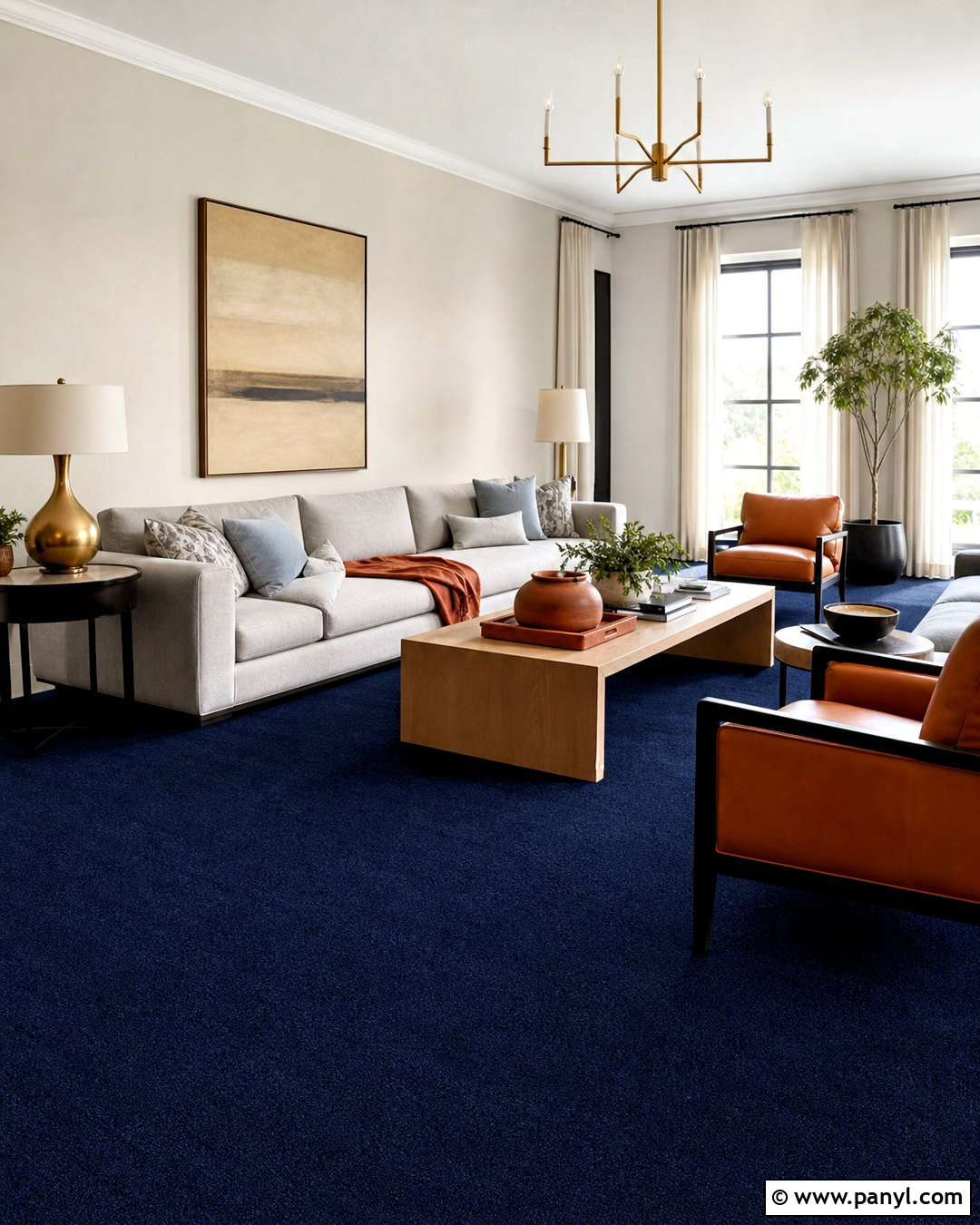 Navy Carpet Living Room - 20 living room with carpet floors