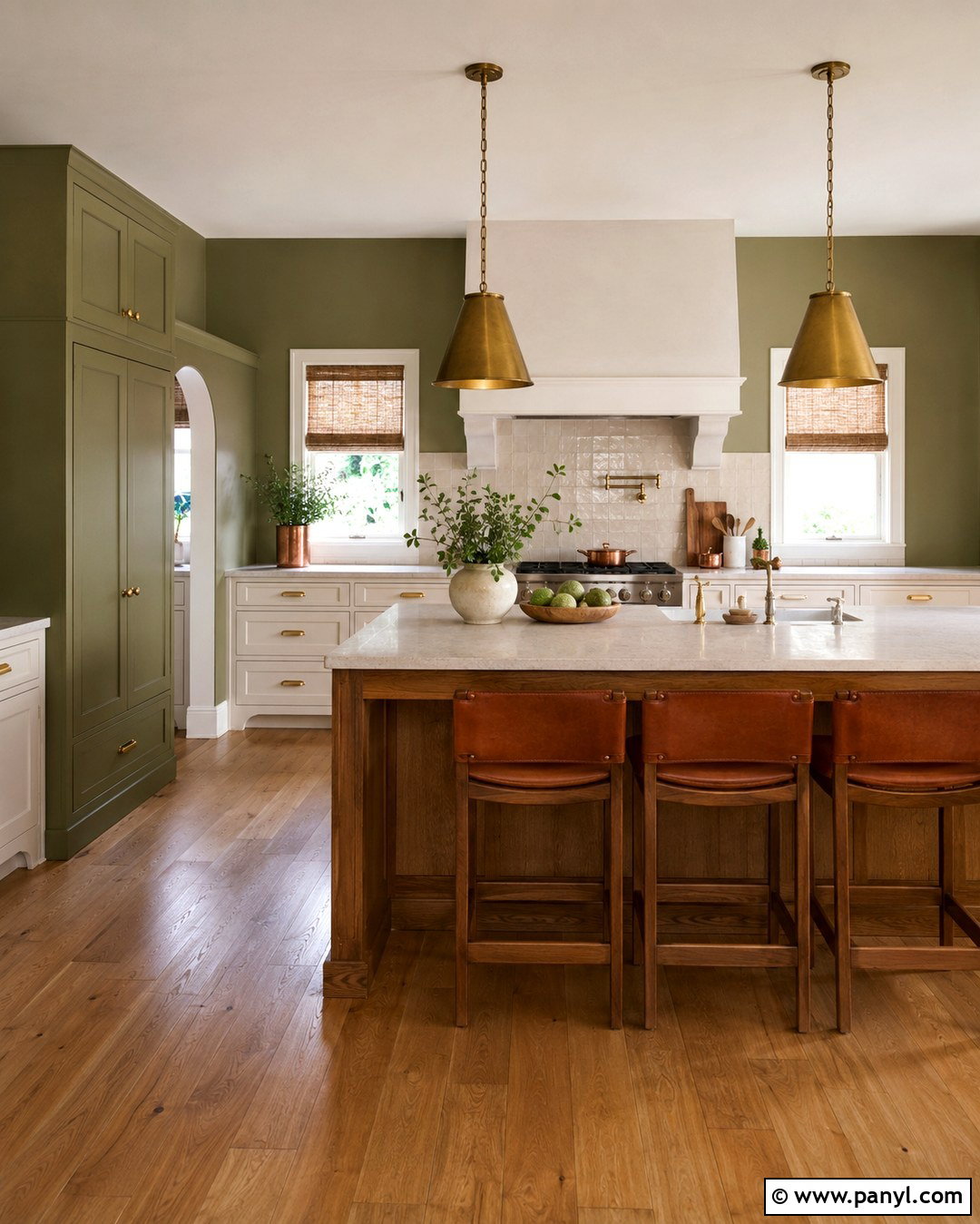 Olive Green Kitchen Walls - 20 Colors For Walls In House Ideas