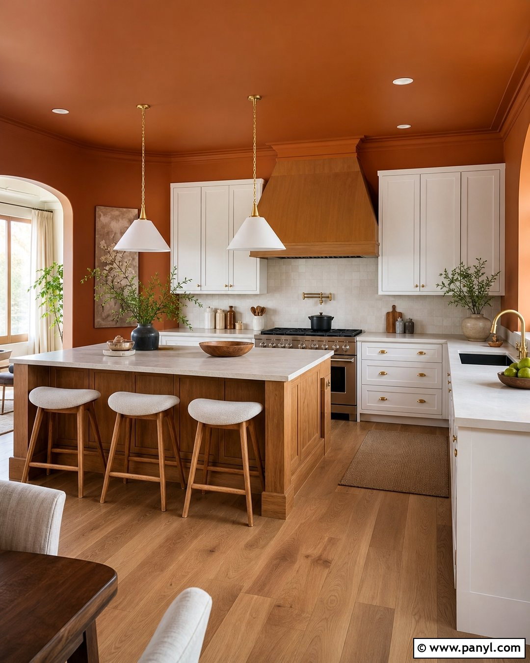 Orange Color-Drenched Kitchen Walls And Ceiling - 20 Orange Wall Paint Ideas Kitchen Ideas