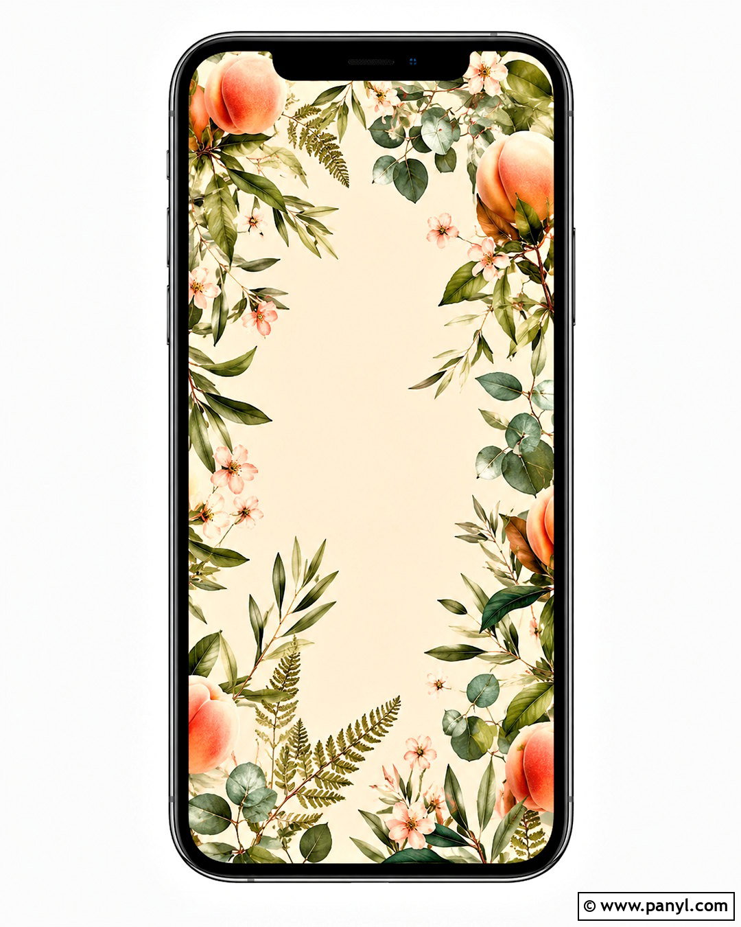 Peach Botanical iPhone Wallpaper - 20 peach wallpaper aesthetic iphone ideas