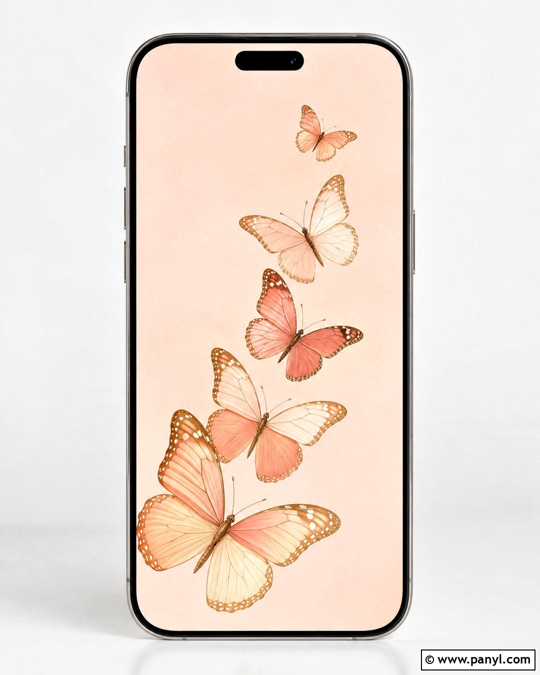Peach Butterfly iPhone Wallpaper - 20 peach wallpaper aesthetic iphone ideas