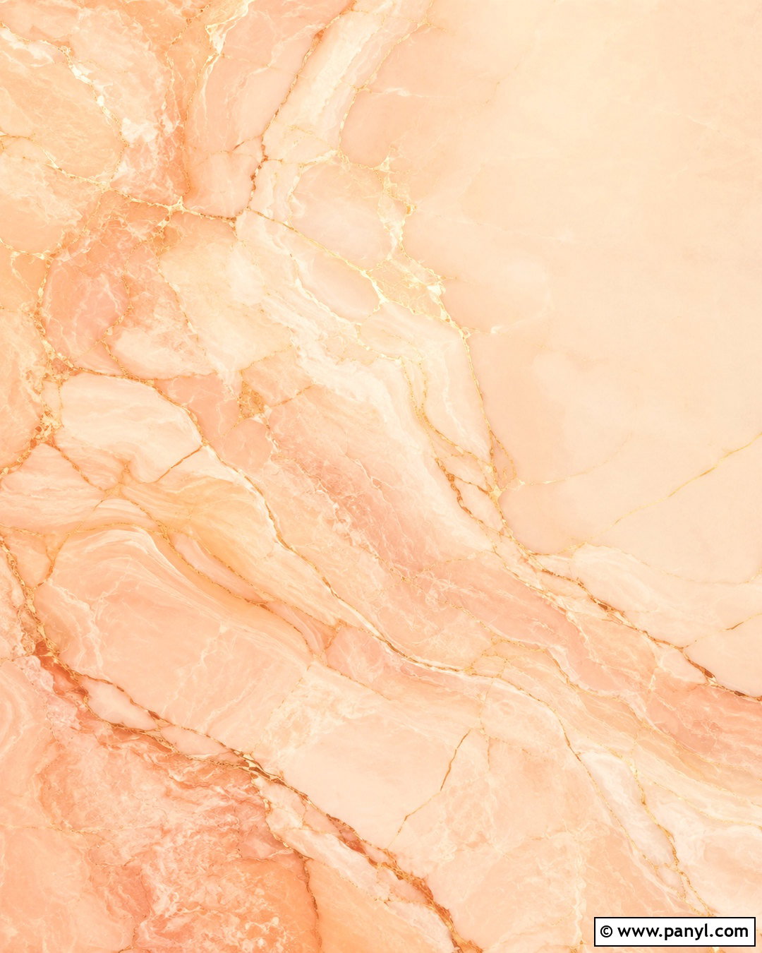 20 Peach Background Wallpapers for a Dreamy Spring Look